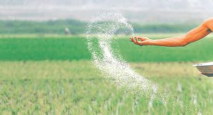 रासायनिक मलको जथाभावी प्रयोगले माटोको उर्वराशक्ति घट्दै