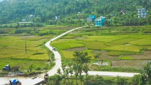 सिस्ने गाउँपालिकाद्वारा कृषि र गैरकृषि भूमि वर्गीकरण