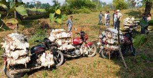 भारतीय कुखुराको अवैध आयातले पोल्ट्री व्यवसाय सङ्कटमा