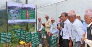 उपल्लाचौरमा आइपिएम किसान पाठशाला