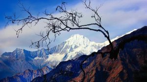 रुवीभ्यालीको चालिस गाउँमा पर्यटकीय सम्भाव्यताको अध्ययन हुँदै