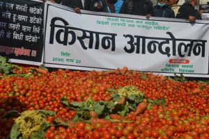 सडकमा तरकारी फालेर किसान आन्दोलन