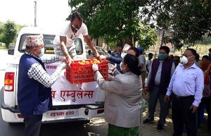 तरकारी ढुवानी गर्न कृषि एम्बुलेन्स सञ्चालनको तयारी