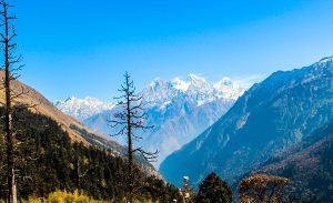 मनास्लु संरक्षण क्षेत्रभित्र भेज ‘चुम भ्याली’ (फोटो फिचर)