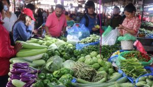 तरकारीको उत्पादन संगै भाउ पनि घट्यो
