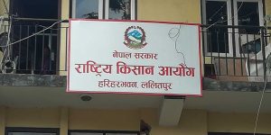 किसानको गुनासो सुन्न आयोगमा निःशुल्क फोन