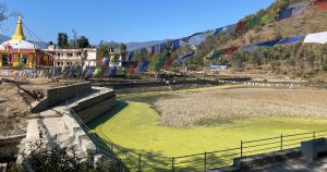 हिउँदे वर्षा नहुँदा किस्पाङ पोखरी सुक्यो