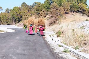 नारी दिवसले नछोएकाहरु