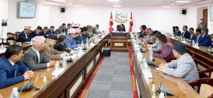 बैंक तथा लघुवित्तका समस्यालाई गम्भीर रूपमा लिएका छौँ : प्रधानमन्त्री