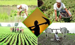 किसानका लागि सामाजिक उद्यमशीलता अभियान