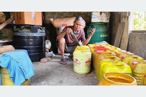 रासायनिक मलको विकल्पमा जैविक मल
