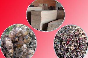 अदुवा, अलैँची र प्लाइउडको निर्यात बढ्यो