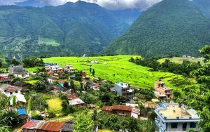 कुँडुले फेदी