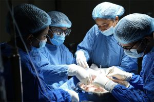 नेपालमै कलेजो प्रत्यारोपण गर्न सक्षम भयौँ : डा. भण्डारी