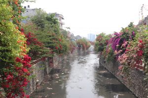 फूलैफूल