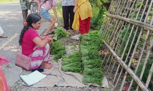 निगुरो बिक्रीबाट घरखर्च चलाउन सहज