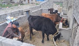 ग्रामिण कृषिमा बढ्दो आकर्षणले उकासिदै छ क्षेत्रिय अर्थतन्त्र
