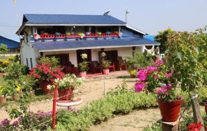 फूलैफूलले सजिएको माडीको अयोध्यामार्ग, लोभ्याउँदैछ पर्यटक