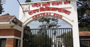 चिडियाखानामा सन्ध्याकालीन सेवा सुरु भएपछि बढे पर्यटक