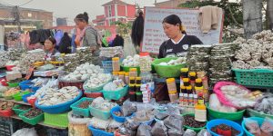 चिसो पहाडबाट झरेर तराईमा जडीबुटी व्यवसाय